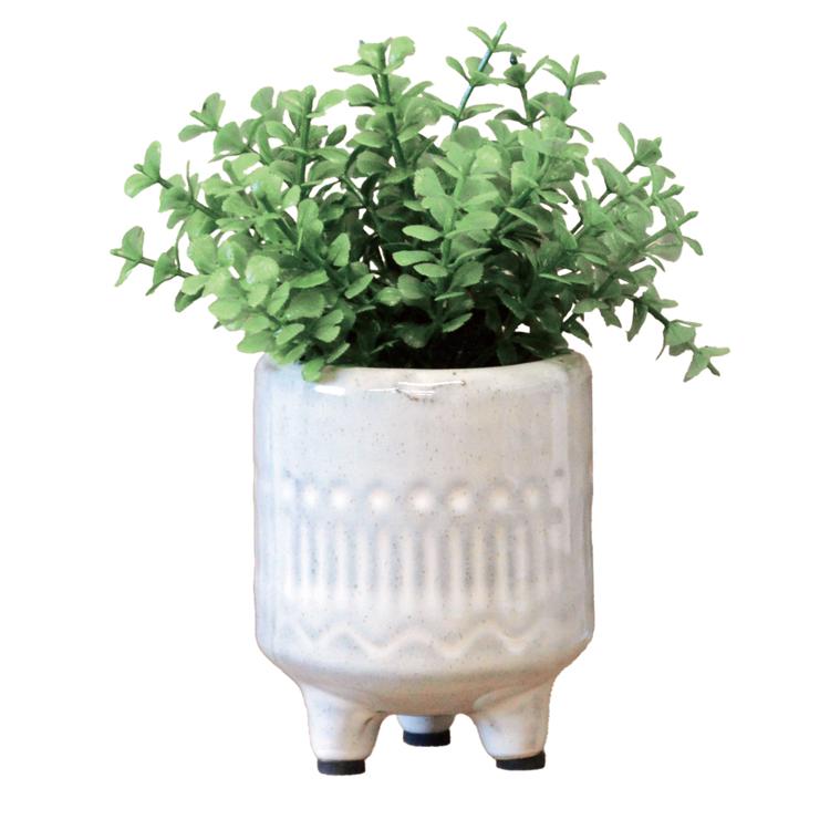 ファンシェイプ