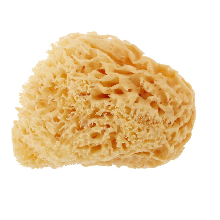 Lサイズ（14から16ｃｍ）