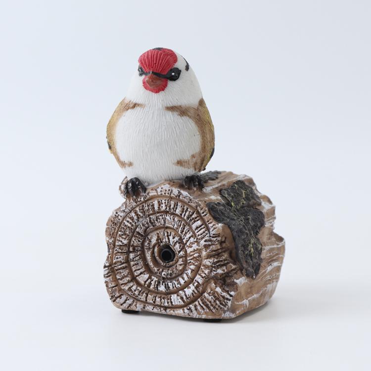 ホワイトバード