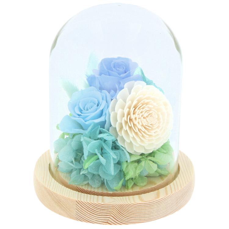 ターコイズ/ブルー