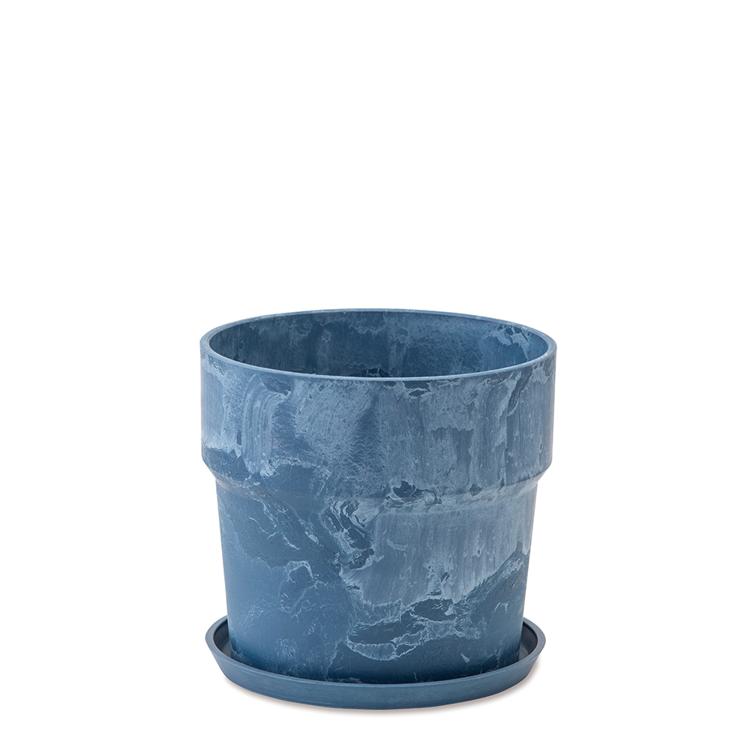 81008.ブルーベリー