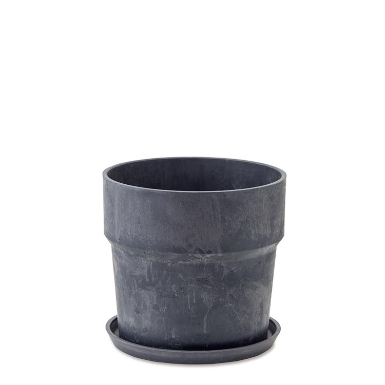 81003.チャコール