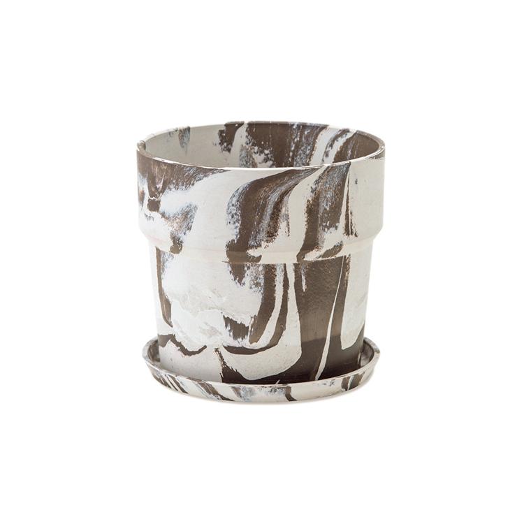 80990.ミルク/カカオ