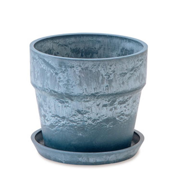 81002.ブルーベリー