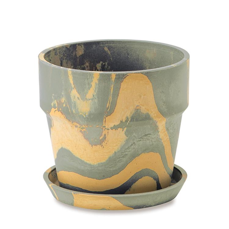 81024.セサミ/レモン