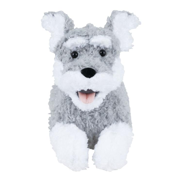 ミニチュアシュナウザー