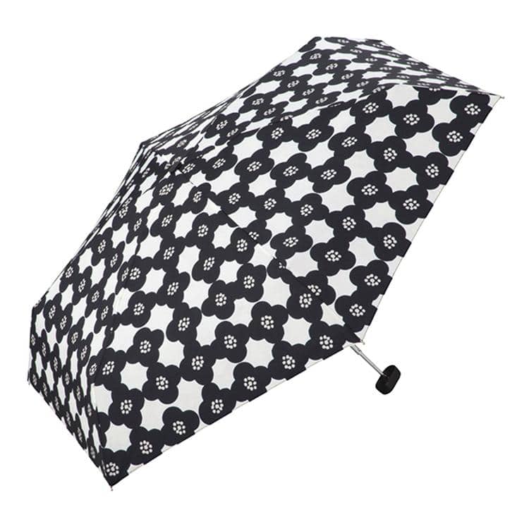 436155.カメリアBK