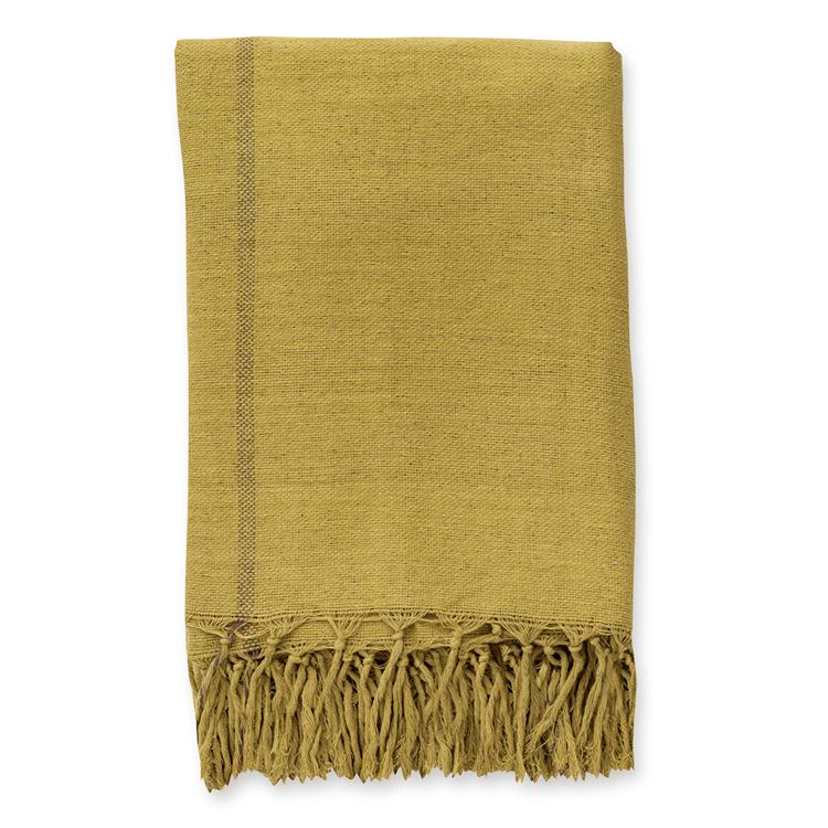 53406.ストライプウグイス