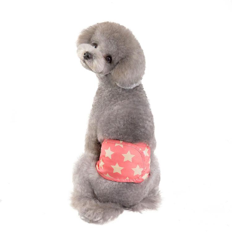 スター×ピンク