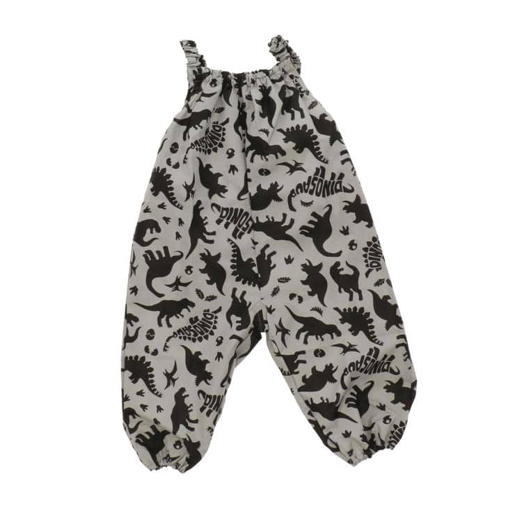 ダイナソーグレー