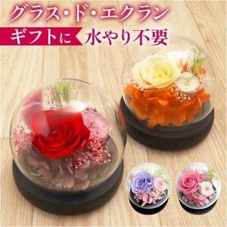 ブリザードフラワ- 通販 フラワーギフト ガラス製 フラワーアレンジメント ガラスドーム お花 花 かわいい おしゃれ フラワー 結婚祝い 新築祝い 玄関 リビング 引越し祝い インテリア 退職 退職祝い アムール・デ・フルール ギフト 贈り物 引っ越し祝い