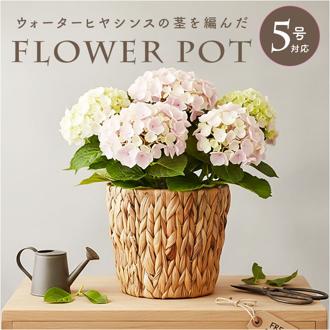 鉢カバー 5号 通販 アミアミポット5号 植木鉢カバー プランターカバー 5号鉢 花 ホワイエ 植木鉢 鉢 プランター カゴ ポット フラワーアレンジメント 鉢植え 室内 園芸 観葉植物 多肉植物 グリーン ナチュラル インテリア おしゃれ