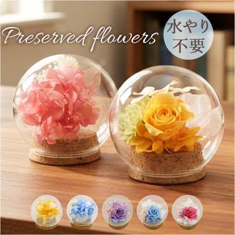 プリザーブドフラワー ガラスドーム 通販 ブリザーブドフラワー フラワーギフト 花 ブリザードフラワー おしゃれ かわいい 贈り物 ギフト 結婚祝い 誕生日 結婚記念日 お祝い 還暦祝い 退職祝い 結婚式 女性 妻 還暦 米寿 古希 お供え 両親
