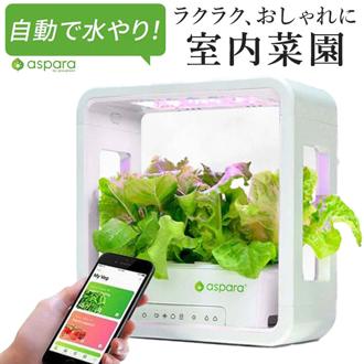 水耕栽培キット 通販 水耕栽培 野菜栽培 家庭菜園 屋内用水耕栽培キット 自動水やり 室内菜園 自動調整 アプリ管理 野菜育成 植物育成 コンパクト設計 スタイッリシュ ミニチュアガーデン お洒落 野菜 ハーブ 花 aspara garden(アスパラガーデン)