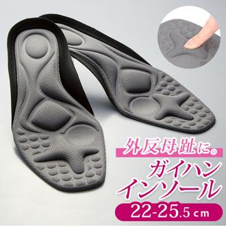 インソール 外反母趾 通販 ガイハンインソール 中敷き レディース メンズ 衝撃吸収 疲れない 疲れにくい 外反母趾サポート用品 扁平足 長時間 靴 小物 スニーカー シューケア ウォーキング フットケア