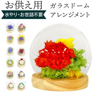 ガラスドーム インテリア アレンジメント 通販 フラワーアレンジメント プリザーブドフラワー プリザードフラワー フラワーギフト 手のひらサイズ ドーム 花器付き プチギフト 花 フラワー 枯れない ギフト 玄関 トイレ リビング 寝室 贈り物