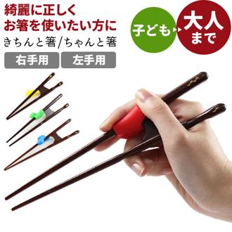 イシダ 矯正箸 通販 大人用 矯正 箸 大人 しつけ箸 日本製 小学生 子供 右利き用 左利き用 ちゃんと箸 こども用 約 16cm 18cm きちんと箸 おとな用 21cm 23cm 若狭箸 はし ハシ トレーニング箸