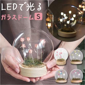 ガラスドーム フラワー 通販 チューリップ ガラスボールS LED ガラス ドーム お花 オブジェ 置き物 置物 おしゃれ かわいい オシャレ 可愛い LUMO ルーモ LEDイルミネーション インテリアライト ライト インテリア