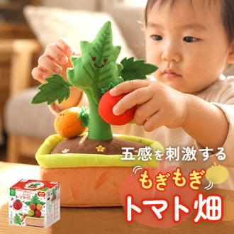 赤ちゃん おもちゃ 指先の知育 通販 ミニファームシリーズ もぎもぎトマト畑 ソフトトイ 知育玩具 ベビー 玩具 布おもちゃ 指先遊び 出産祝い ギフト 贈り物 男の子 女の子 かわいい 布製おもちゃ おしゃれ 赤ちゃん用品 可愛い ベビー用品 アイアップ