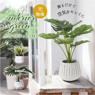 光触媒 人工観葉植物 通販 フェイクグリーン インテリアグリーン イミテーショングリーン インテリアプランツ ポット 陶器 植物 飾る 消臭 抗菌 防カビ おしゃれ 置物 イミテーション 癒し 癒やし リビング 和室 寝室 贈り物 ギフト 新生活