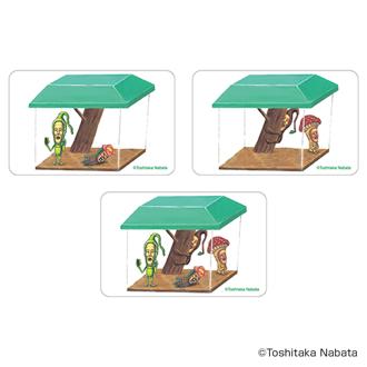 こびとづかん グッズ 通販 こびとずかん クリアカード まじかる百貨店クリアカード 4947864050979 こびとづかん05 スマホ裏 スマートフォン 透明 カード かわいい 可愛い おしゃれ カワイイ 絵本キャラクター レンチキュラー オシャレ ホビー