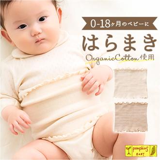 POMPKINS ポプキンズ おなかウォーマー ニット オーガニック 通販 日本製 腹巻 腹巻き ハラマキ はらまき ベビー 赤ちゃん コットン オーガニックコットン 男の子 女の子 シンプル かわいい 可愛い 出産祝い ギフト 贈り物