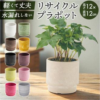 植木鉢 プラスチック 丸型 通販 SK ステップ 12xH12 鉢 約 3.5号 鉢カバー プランター プラポット プランターカバー 植木 ポット 鉢植え おしゃれ 軽量 軽い 観葉植物 フラワーアレンジメント インテリア リサイクルプラポット かわいい