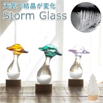 ストームグラス 気象計 きのこ 通販 ガリレオ 気象計 天気予報 結晶 化学 サイエンス ガラス 科学 室内 シンプル インテリア かわいい おしゃれ ナチュラル きのこ雑貨