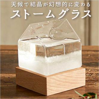 茶谷産業 ストームグラス ハウス 通販 置物 卓上 オブジェ 飾り オーナメント デコレーション 北欧 サイエンス 科学 家 おしゃれ かわいい ギフト 贈り物 インテリア 雑貨
