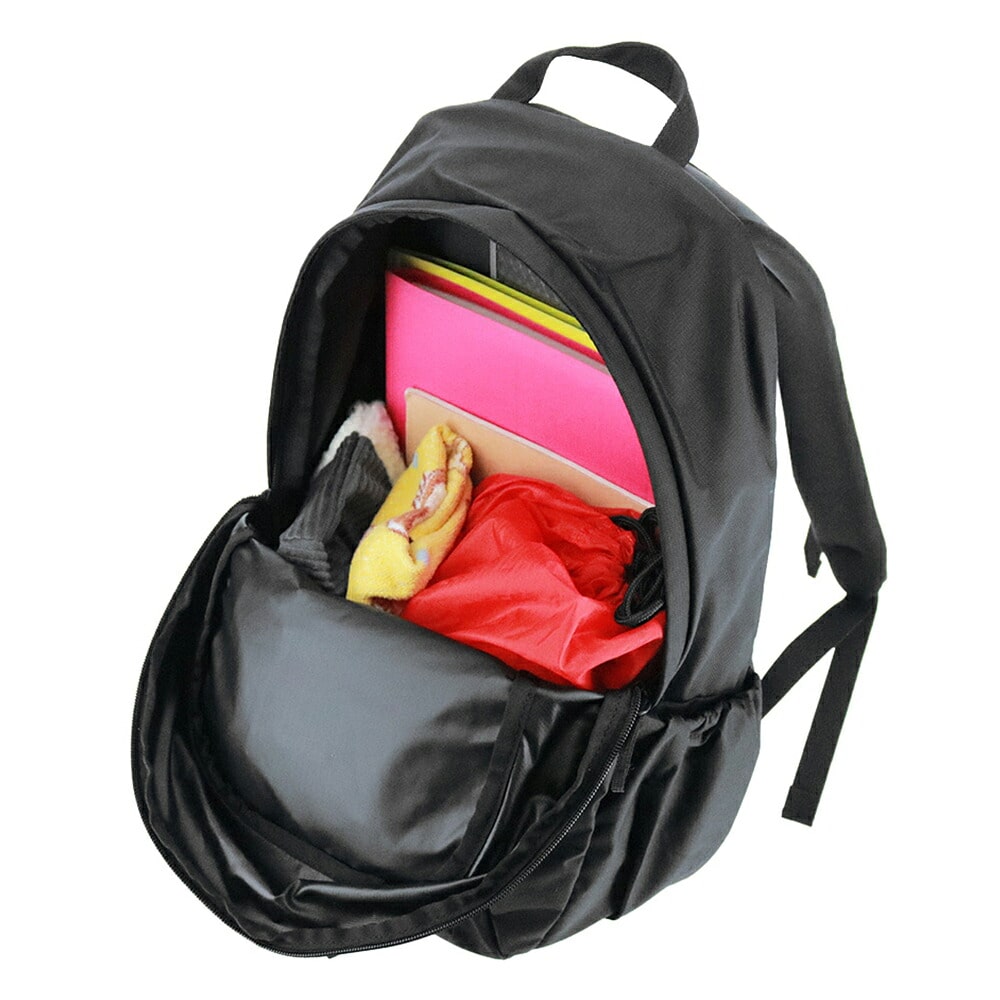 ノースフェイス キッズ リュック バックパック 20L A4 THE NORTH FACE キッズパックス テルス20 NMJ72357 メンズ レディース 送料無料 誕生日プレゼント ギフト ラッピング無料 正規代理店 2.ペア -nmj72357pe 2.ペア