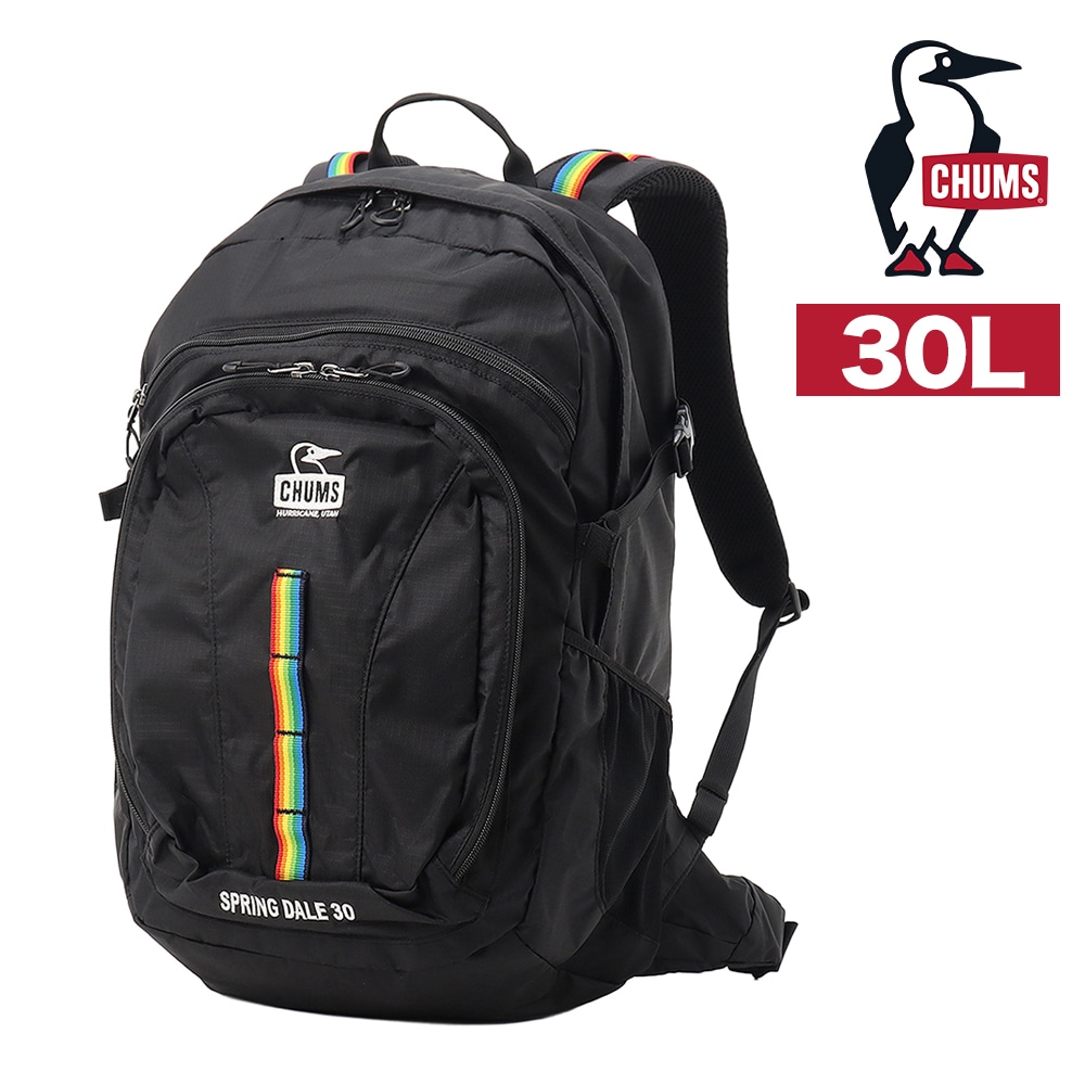 チャムス バッグ リュック バックパック ザックパック 登山 CHUMS スプリングデール30 30L B4 A4 CH60-3998 メンズ レディース ポイント10倍 送料無料 誕生日プレゼント ギフト ラッピング無料 正規代理店 ブラックxレインボー -603998k042