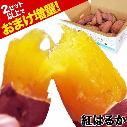 【買えば買うほどおまけ増量！】さつまいも 紅はるか べにはるか 1.5kg 5kg 10kg 送料無料 芋 熟成 熊本県産 スイーツ お取り寄せ 訳あり ※大中小サイズ混合(不選別 ) 焼き芋 さつま芋 薩摩芋 《1-5営業日以内に発送予定(土日祝除く)》 _-rg_beharuka_s_25_1980_1500g