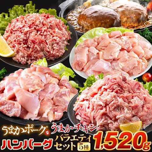 総重量1520g! お肉5種 バラエティセット 肉 豚肉 鶏肉 ハンバーグ 5種 大容量 福袋 切り落とし 豚ミンチ 国産 ミンチ 若鶏 モモ肉 むね肉 デミグラス 送料無料 (北海道沖縄離島は除く) 《1-5営業日以内に発送予定(土日祝除く)》 _-rg_fumavarietyv2_s_24_5858_5i_mi