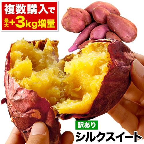 さつまいも 熊本県産 訳あり シルクスイート 1.5kg (サイズ大中小不揃い) 送料無料 【4セット注文でおまけ増量!合計9kg】焼き芋 お取り寄せ さつま芋 薩摩芋《1-5営業日以内に出荷予定（土日祝日を除く）》 _-gf_wsilk_s_25_1777_1500g