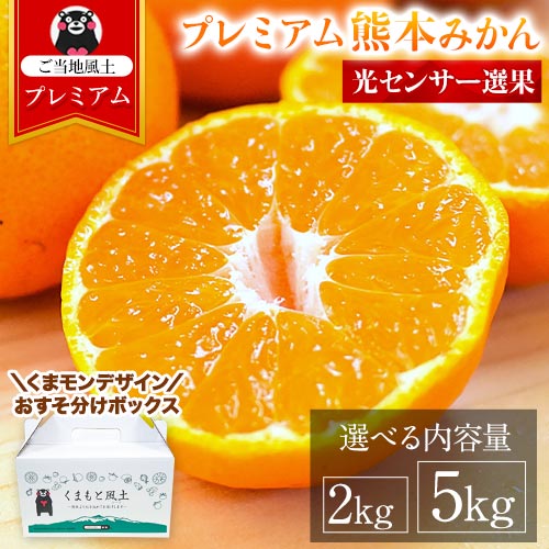 プレミアム 熊本 みかん 選べる容量 2kg 5kg S~L サイズ 送料無料 ミカン 大玉 小玉 不選別 果物 柑橘 九州 蜜柑 10kg 10キロ 以下 みかん箱 1000円 以上 おすそ分け 《3-7営業日以内に発送予定（土日祝除く）》5kg(2.5kg×2箱) _-rg_prekumamikan_u_25_3980_5000g