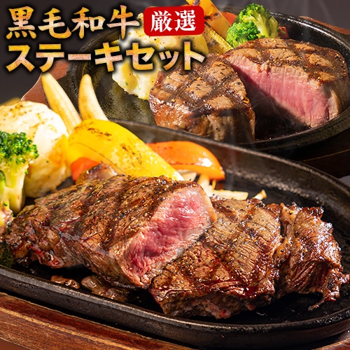 黒毛和牛 サーロイン ヒレ ステーキ 2枚 450g 送料無料 九州産 サーロインステーキ 300g ヒレステーキ 150g ステーキ肉 国産 訳あり ヒレ肉 和牛 ステーキセット 見切り品 《7-14営業日以内に出荷予定(土日祝除く)》 _-rg_fkurosteakv2_wx_6999_2i