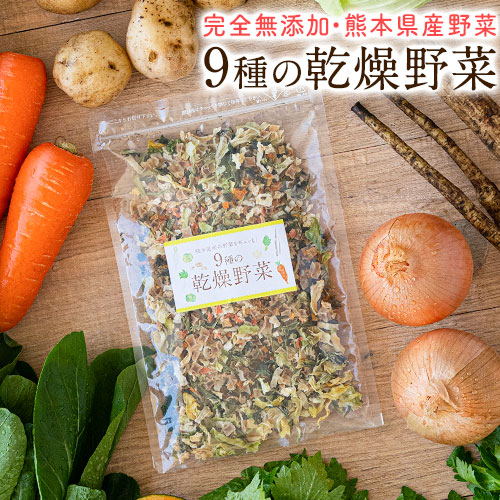 乾燥野菜 9種 国産野菜 ミックス 無添加 熊本県産 100g みそ汁の具 野菜セット スープ 味噌汁 インスタント やさい 健康 ブドウ糖不使用 《7-14営業日以内に発送予定(土日祝日除く)》 _-rg_dryyasai9s_wx_22_1380_100g