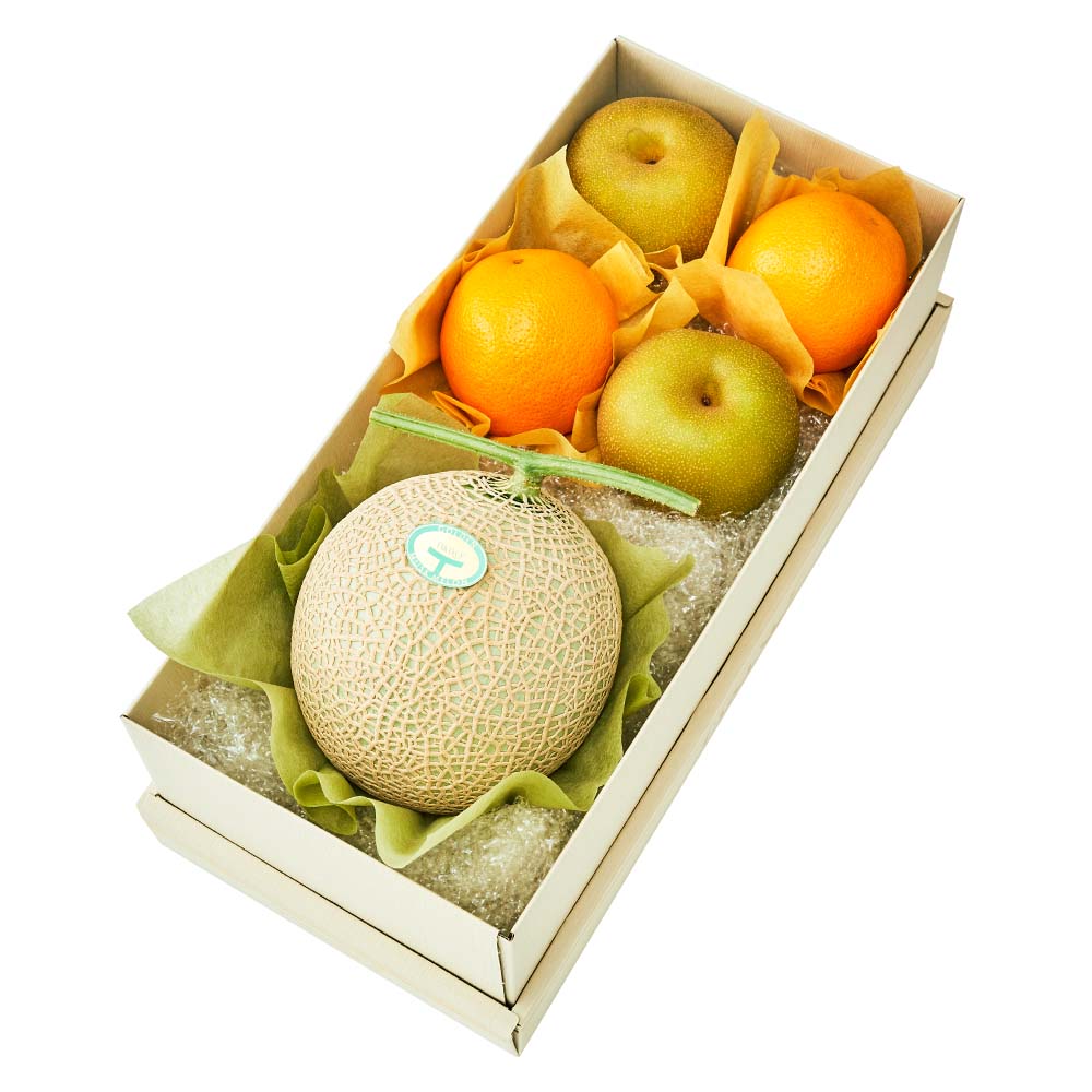 新宿高野 マスクメロン&旬果L #29100