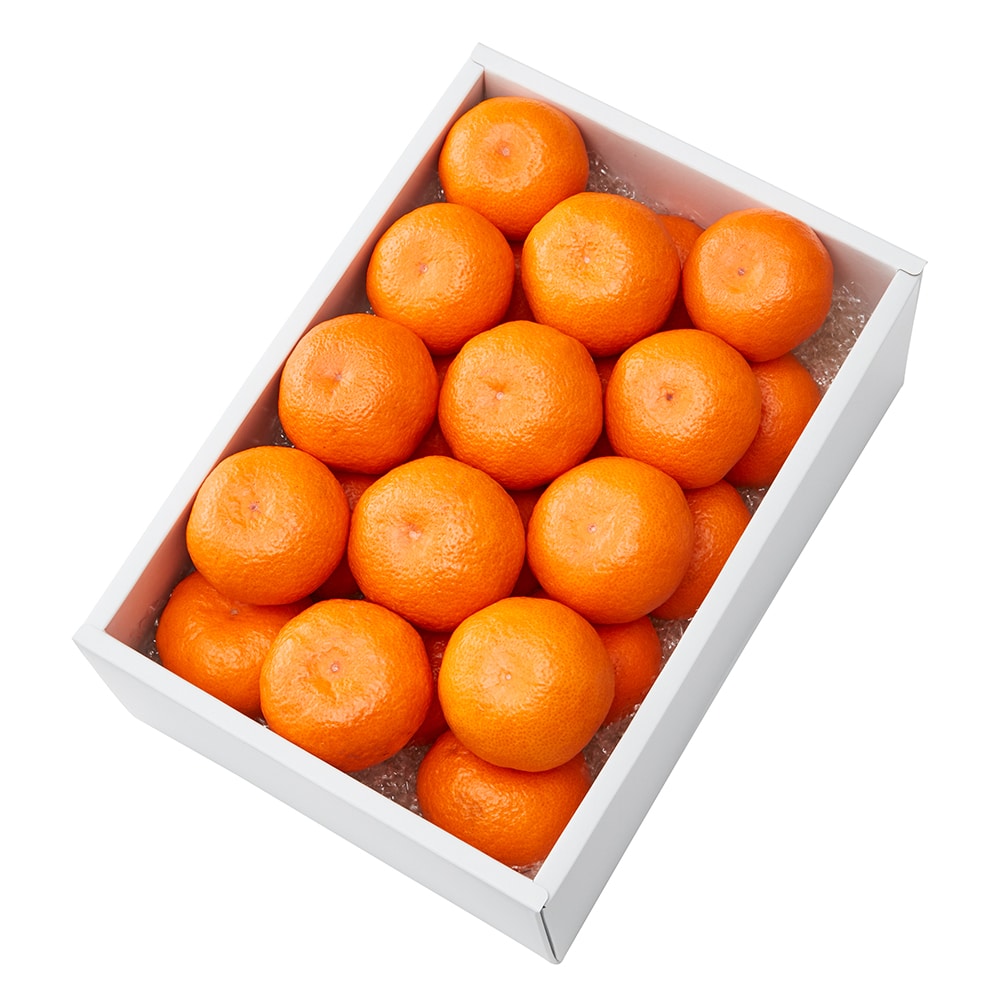 新宿高野 丹生系/葵クラブみかん24入 #29100