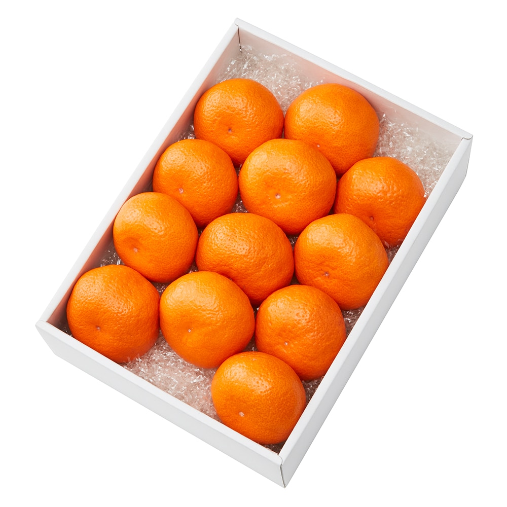 新宿高野 丹生系/葵クラブみかん12入 #29100