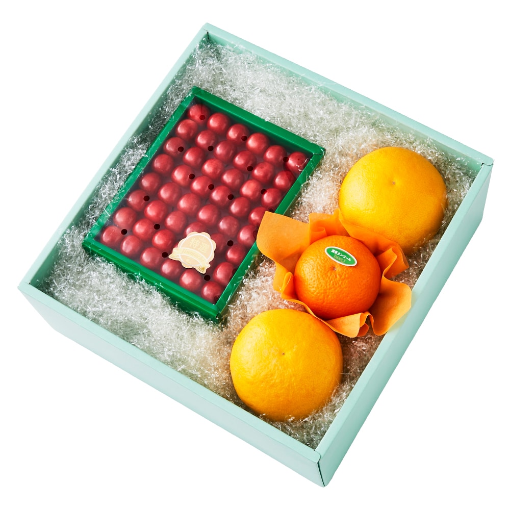 新宿高野 春のさくらんぼ&旬果A #29100