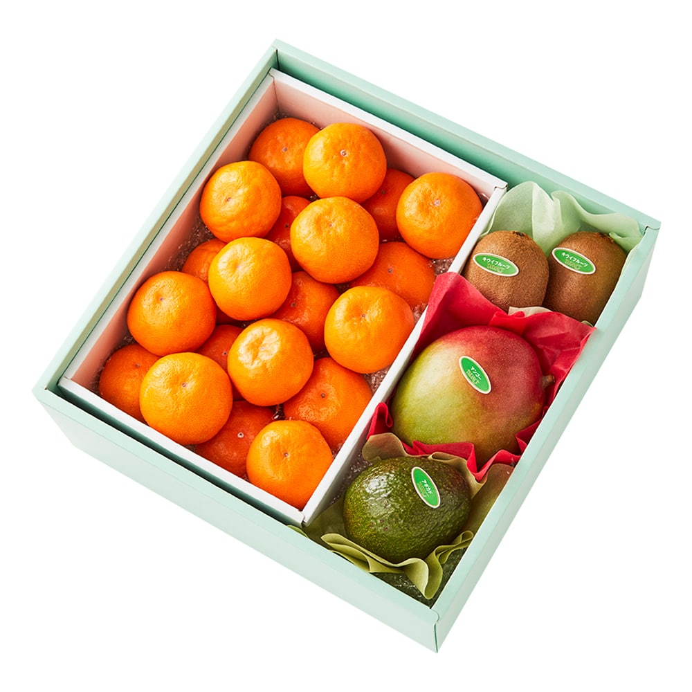 新宿高野 葵クラブみかん&旬果I #29100