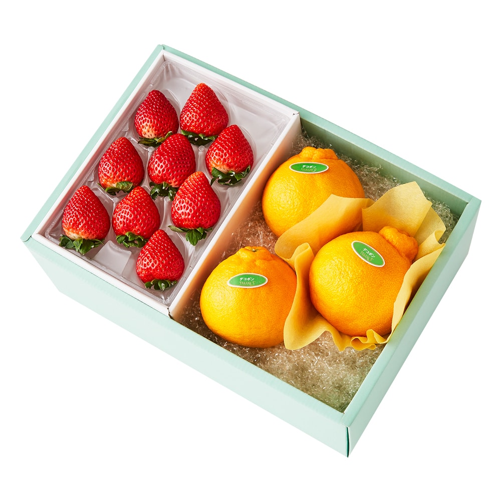 新宿高野 とちあいか苺9&旬果E #29100