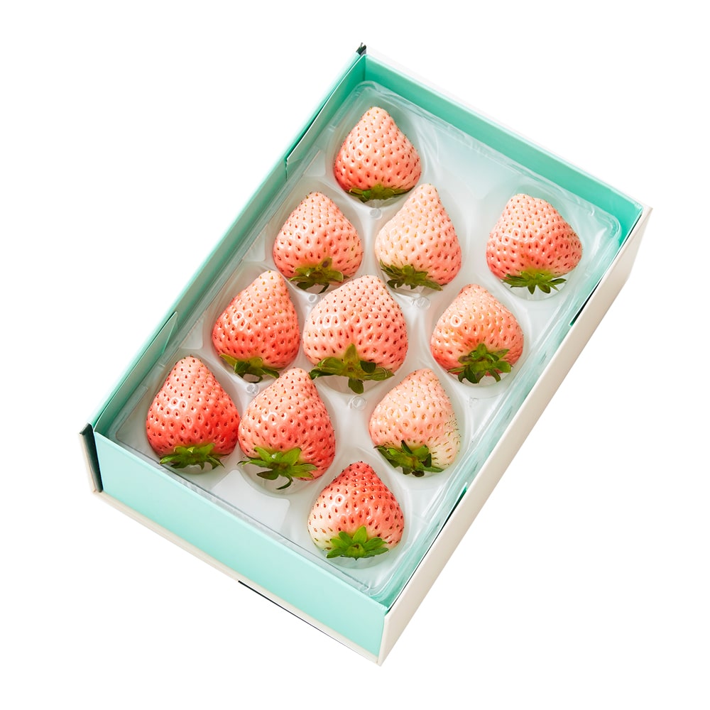 新宿高野 コットンベリーMA #29100