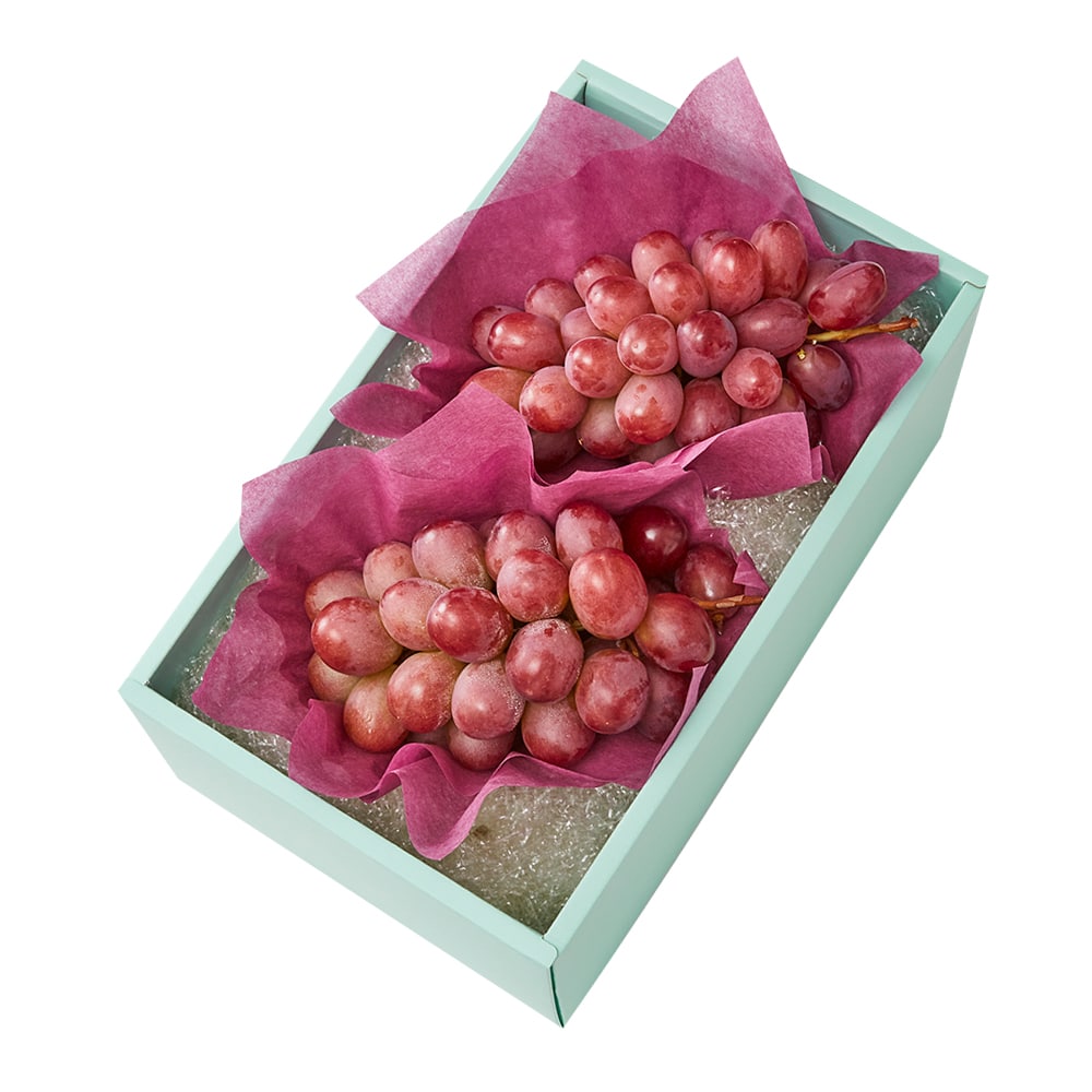 新宿高野 クイーンルージュ2入 #29100