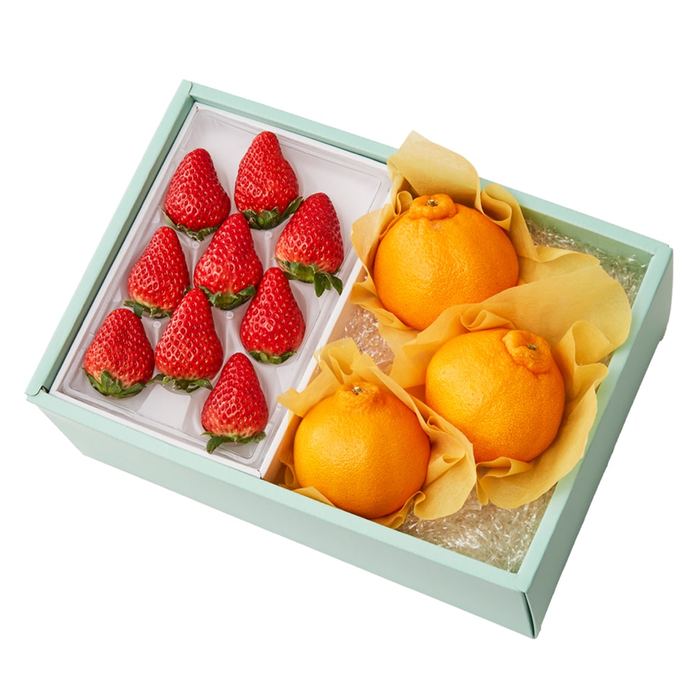 新宿高野 大将季&旬果C #29100