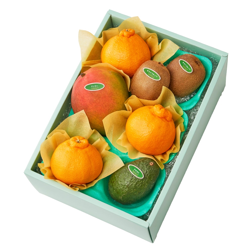 新宿高野 大将季&旬果F #29100