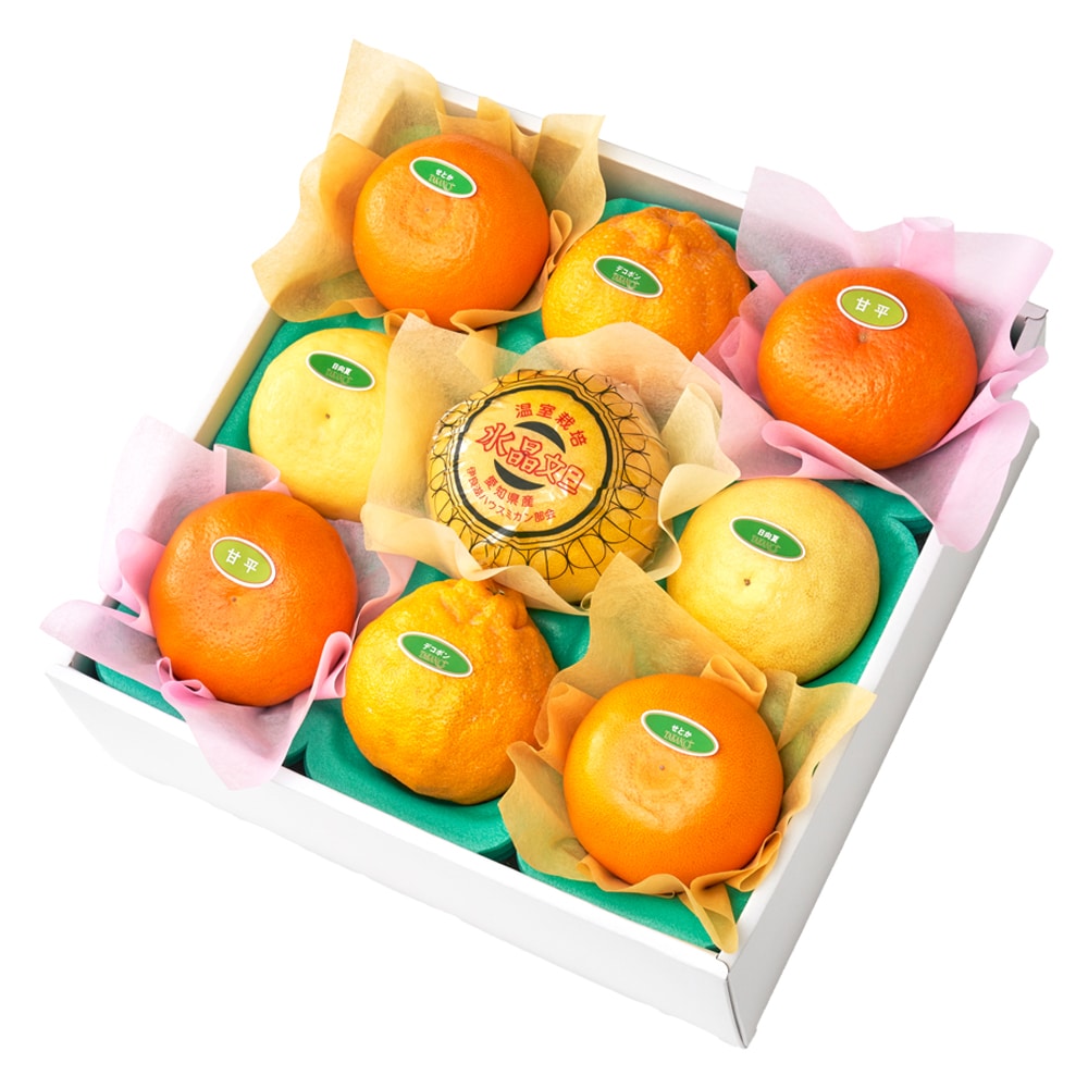 新宿高野 冬柑橘食べ比べ9入 #29100