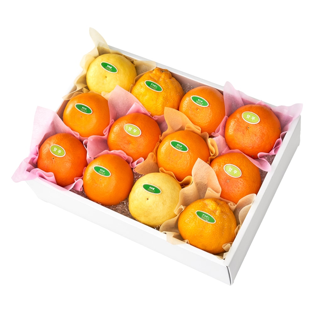 新宿高野 冬柑橘食べ比べ12入 #29100