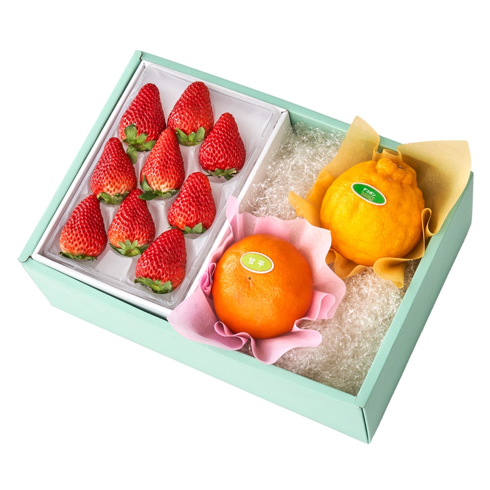 新宿高野 いちご9&柑橘ダブルB #29100